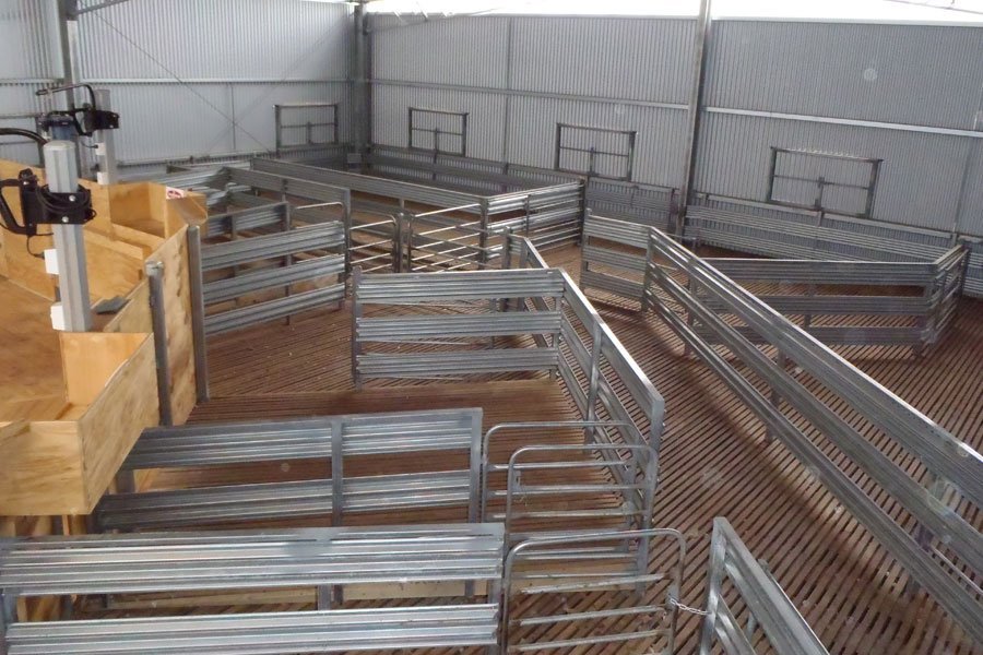 Shearing Shed Designs and Plans Australia Magnus Australia