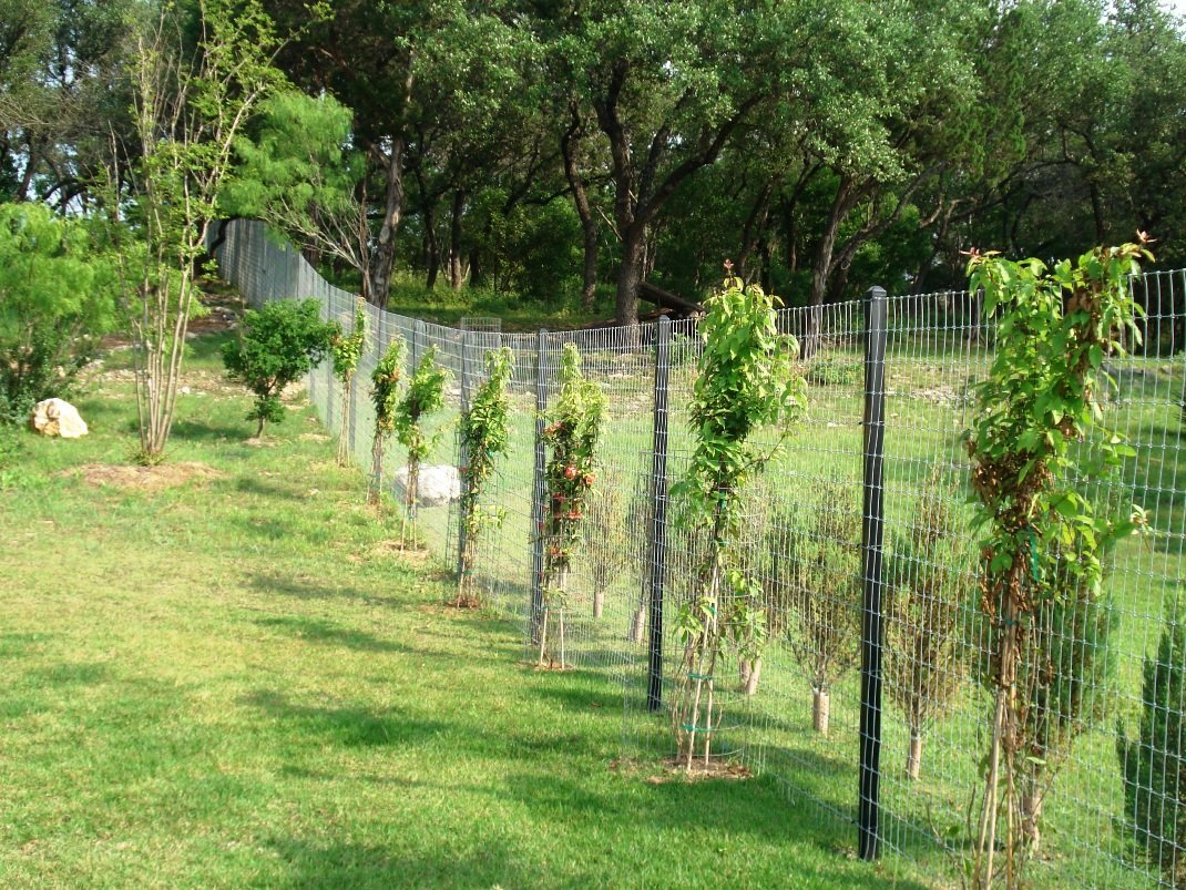 About Us Fence Company San Antonio, TX Garcia Fencing