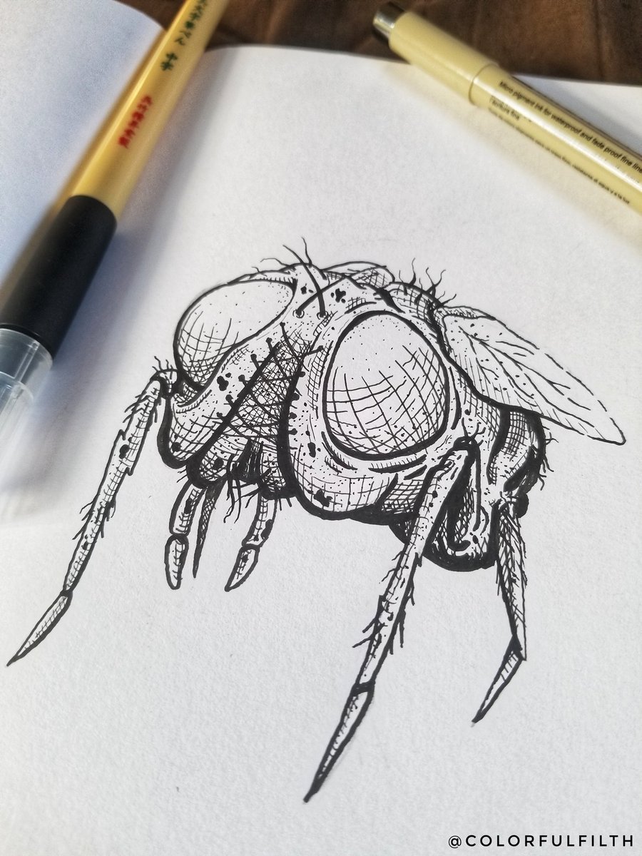 Fly Ink Draw Drawings and Paintings by Paul Munko | Colorful Filth