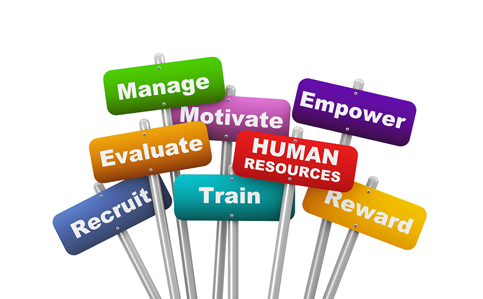 human resources services chapman hr consulting ltd employee relations
