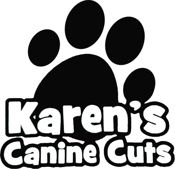 Dog Groomers in Derby