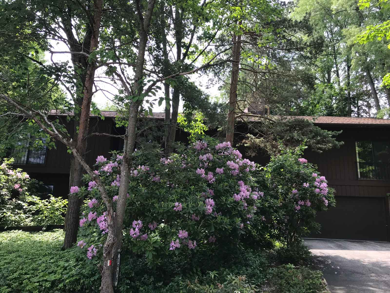 Century 21 Wilbur Realty The Pines Condominium Association