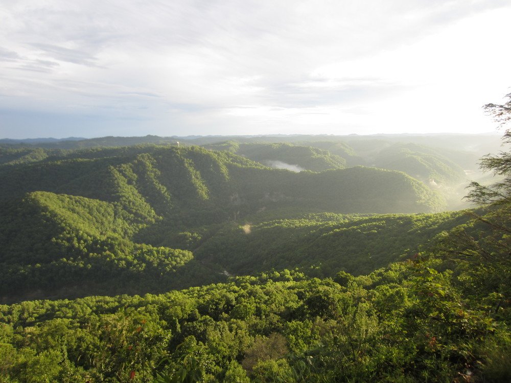 History Elkhorn City, KY