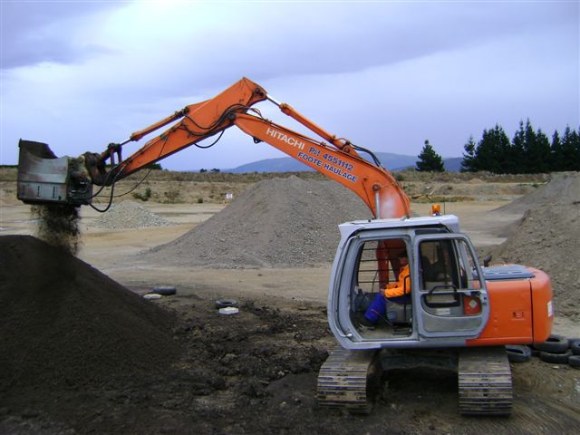 Collecting firewood in Dunedin