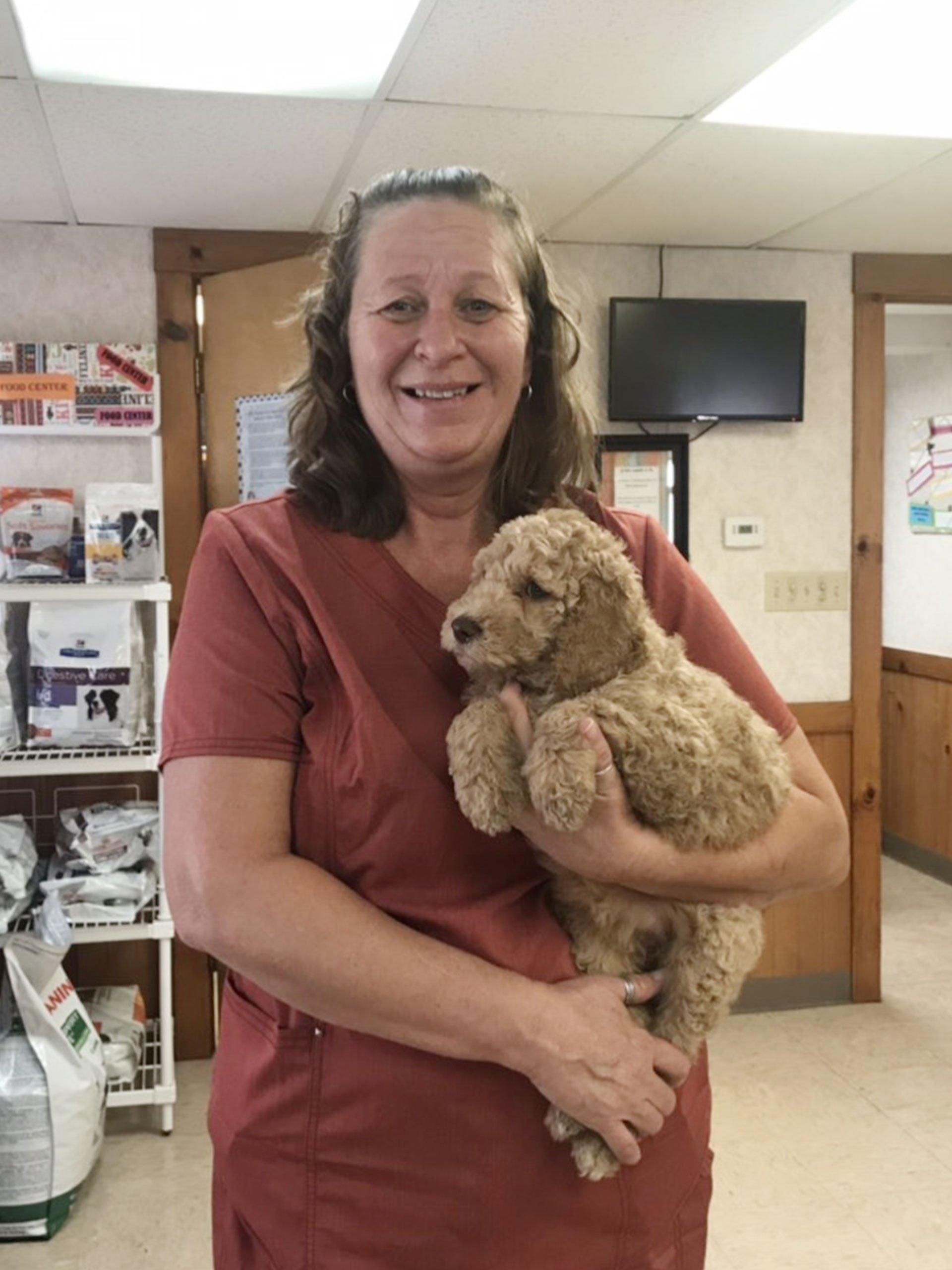 Veterinarian Greenville, OH Edgetown Veterinary Clinic & Laser Center