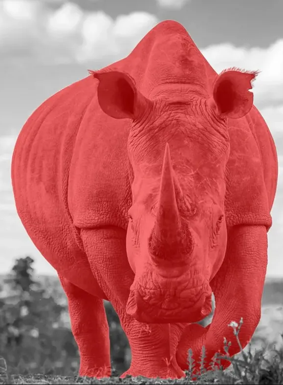 Real Red Rhino
