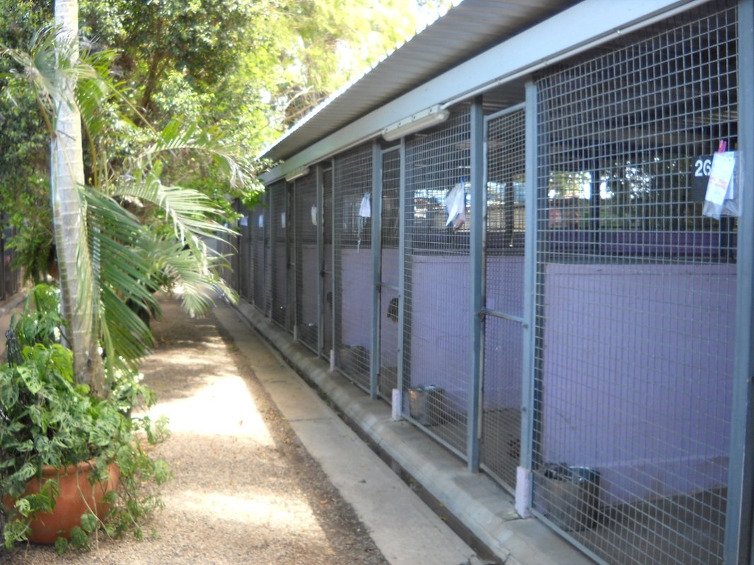 View Our Gallery Homebush Boarding Kennels & Cattery