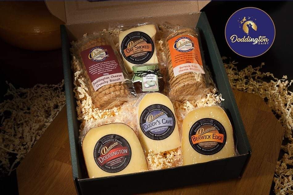 Things to do in Alnwick The Hoot