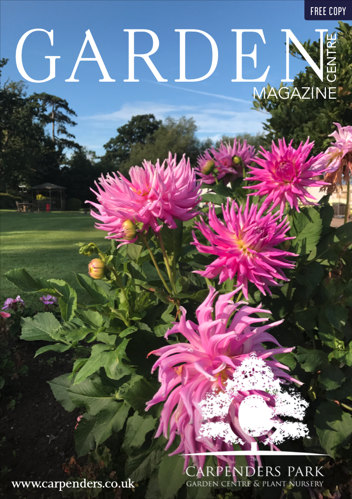 Garden Centre Magazine Printed and Digital Magazines for businesses