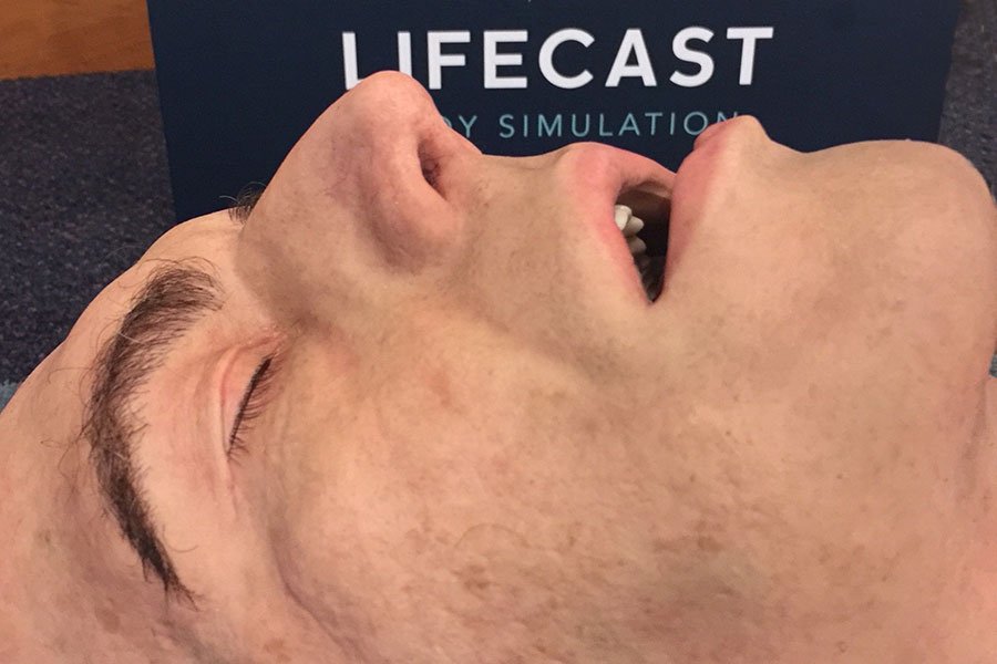 Real Body Simulator Lifecast Body Simulation | Adult Male & Female