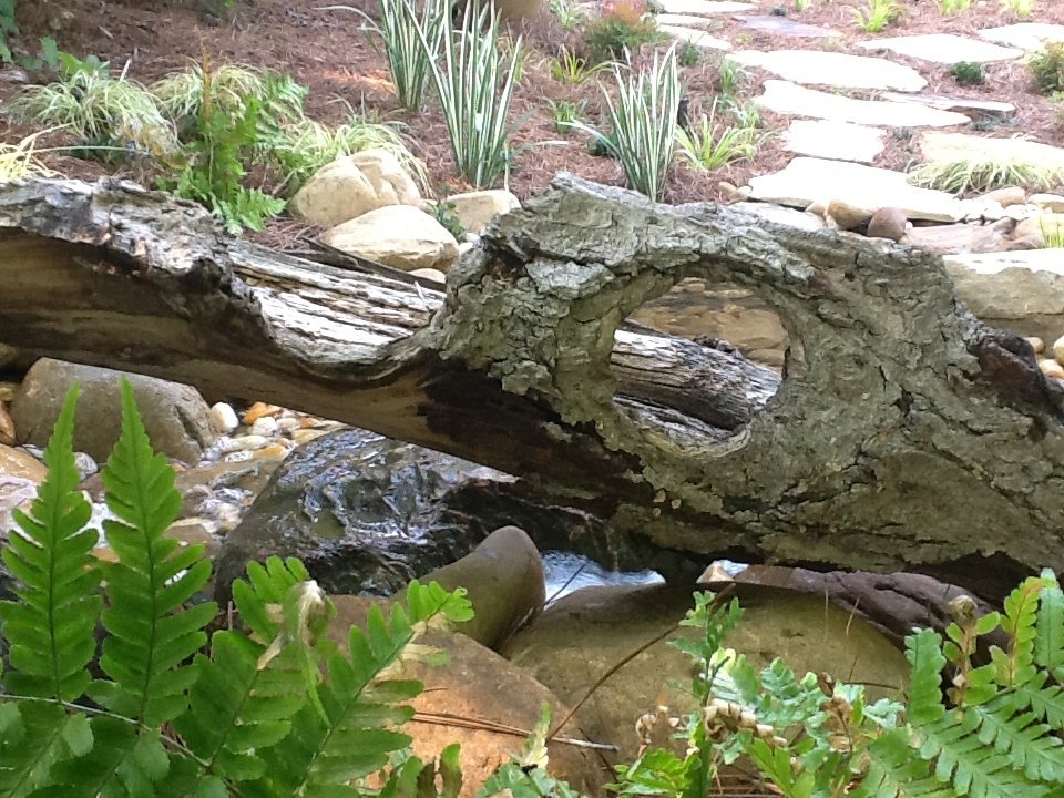 Medium Water Features Water Features to Focus and Define Gardens | Port Melbourne
