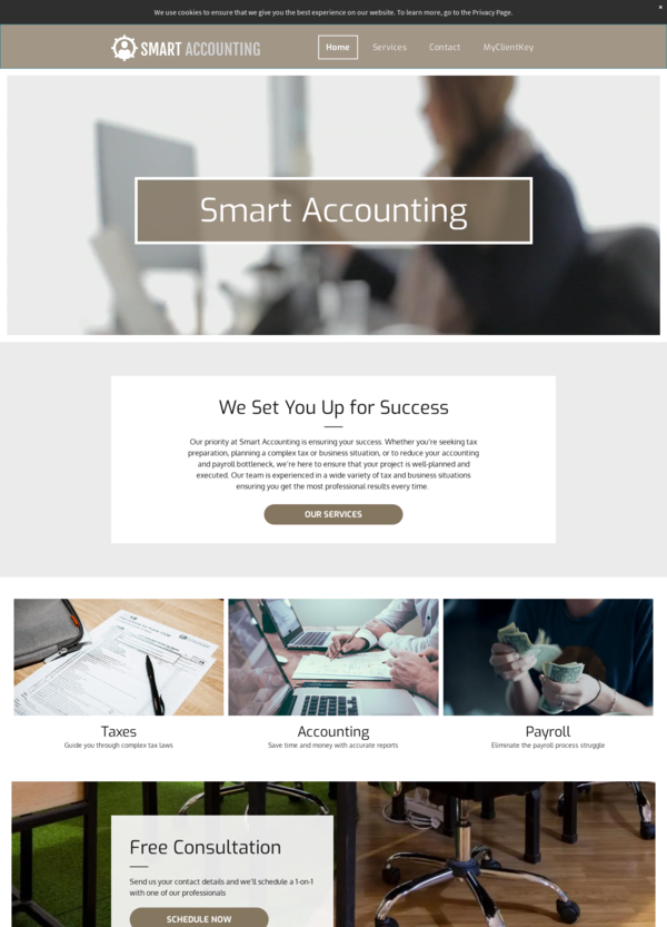 My Client Key Smart Professional - Tan Template