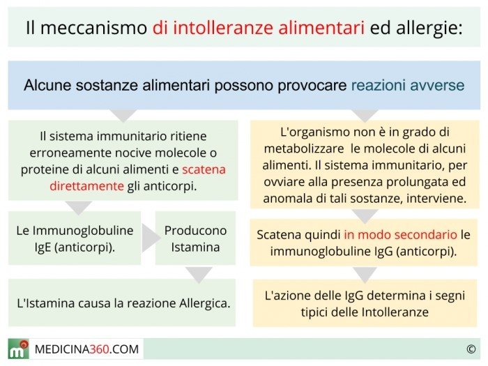 dieta per nessuna vescicola