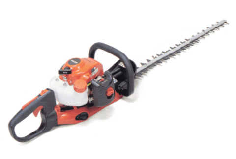 TAGLIASIEPI ECHO .- AGRIGENTO