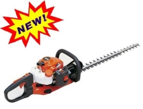 TAGLIASIEPI ECHO .- CALTANISSETTA