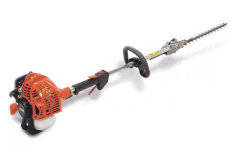 TAGLIASIEPI ECHO .- AGRIGENTO