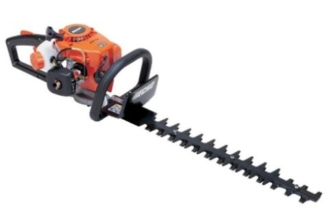 TAGLIASIEPI ECHO .- CALTANISSETTA