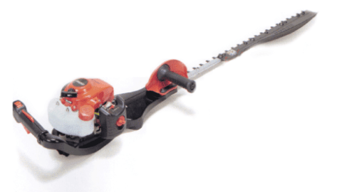 TAGLIASIEPI ECHO .- AGRIGENTO