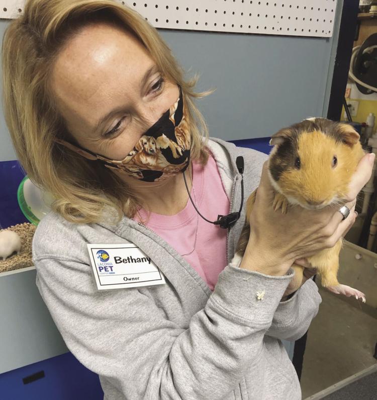 Pet Store & Pet Food Concord, NH Laconia Pet Center