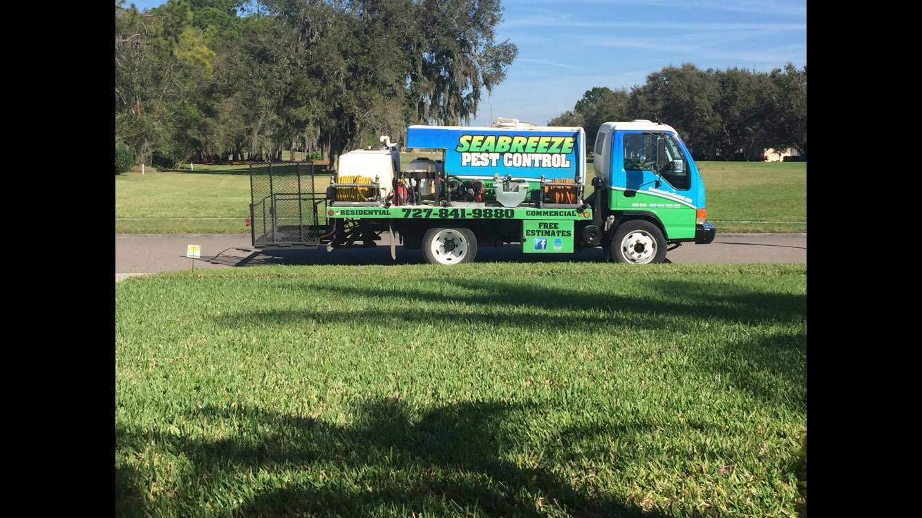 Pest Control Services Hudson, FL Seabreeze Pest Control