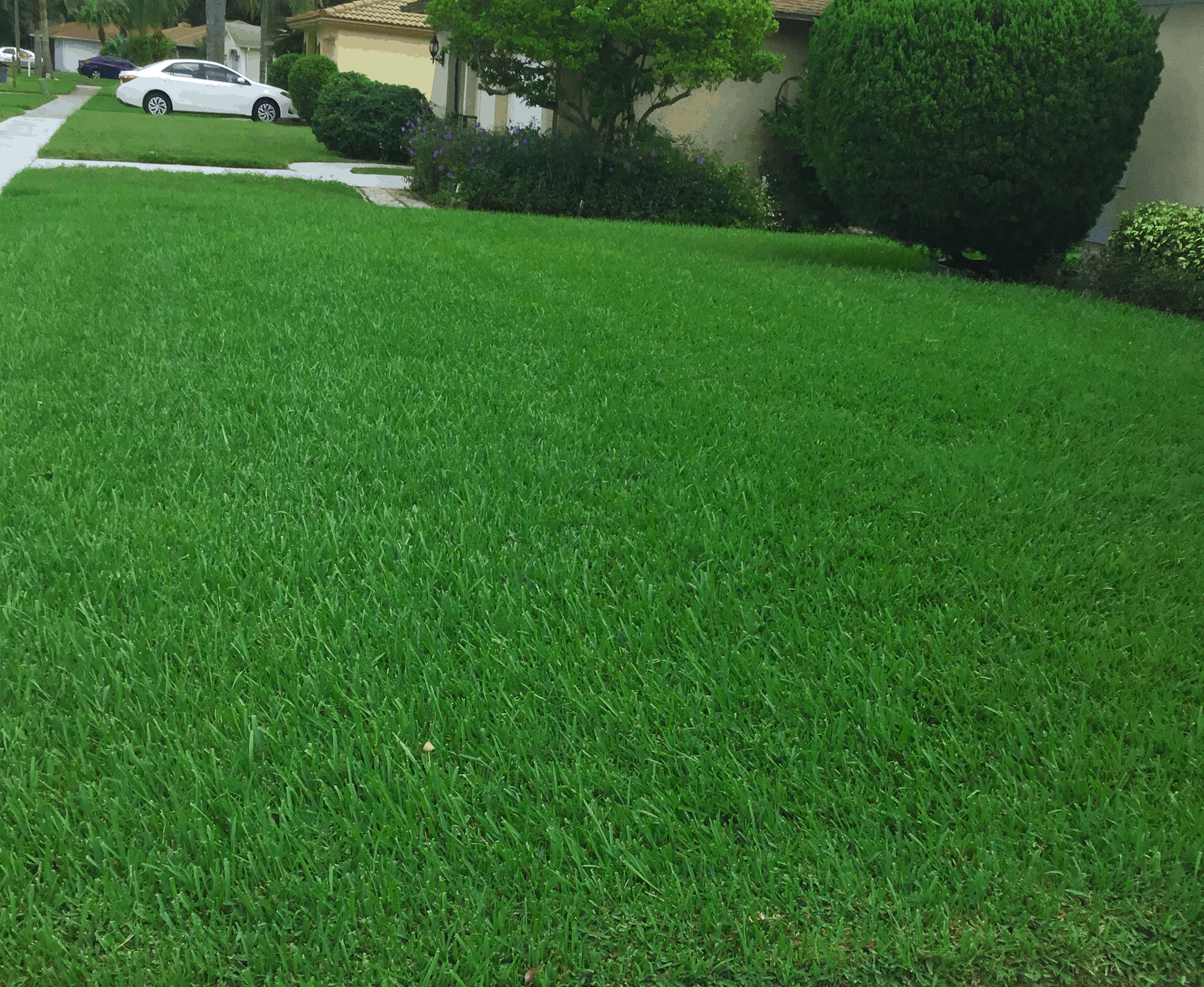 Pest Control Services | Hudson, FL | Seabreeze Pest Control