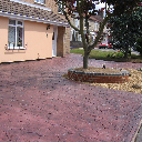 A driveway with a small tree in the middle