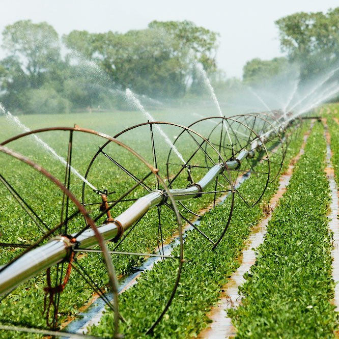 Warrington Irrigation Ontario OR