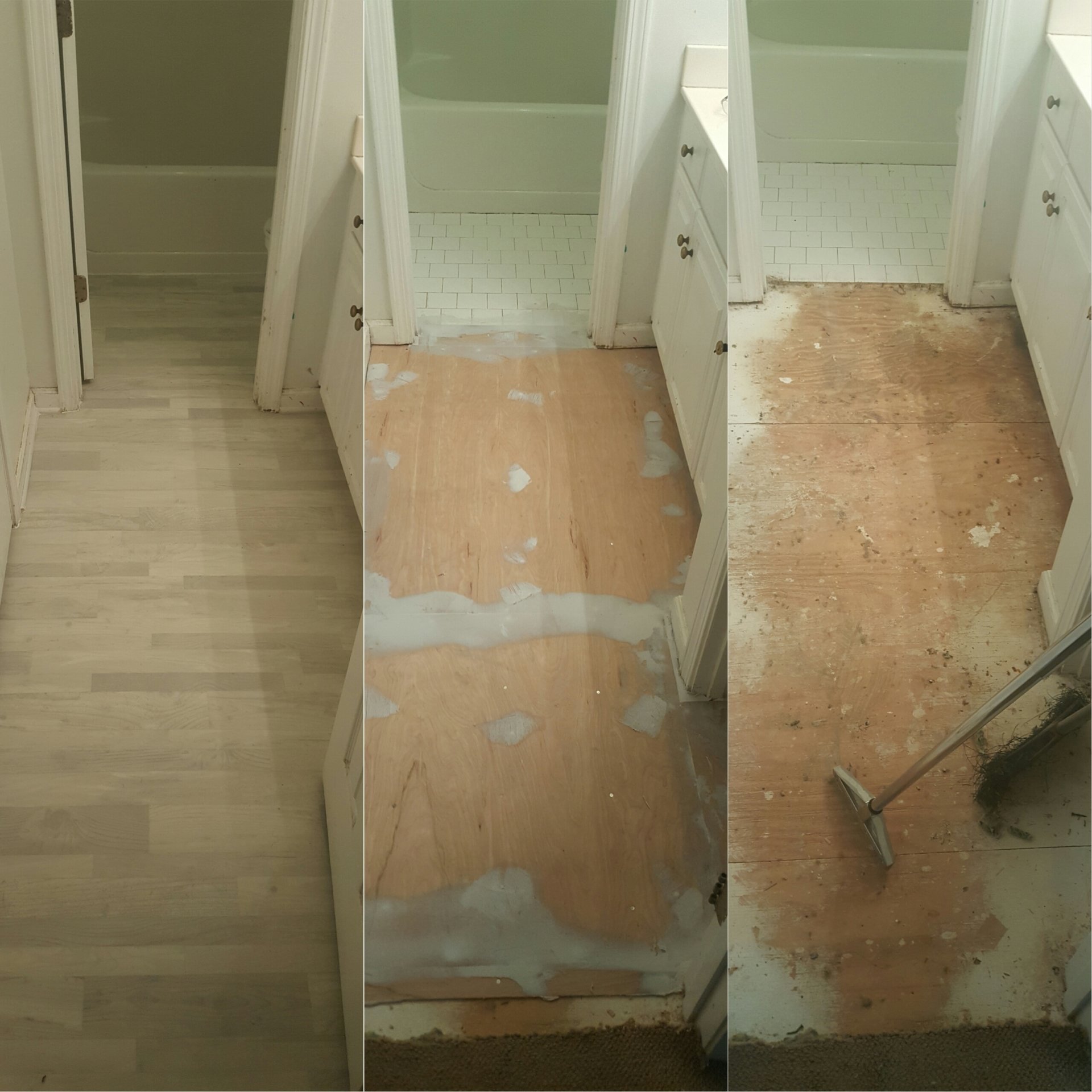 Our Work Quality Queen Carpet Cleaning, Extractions and More