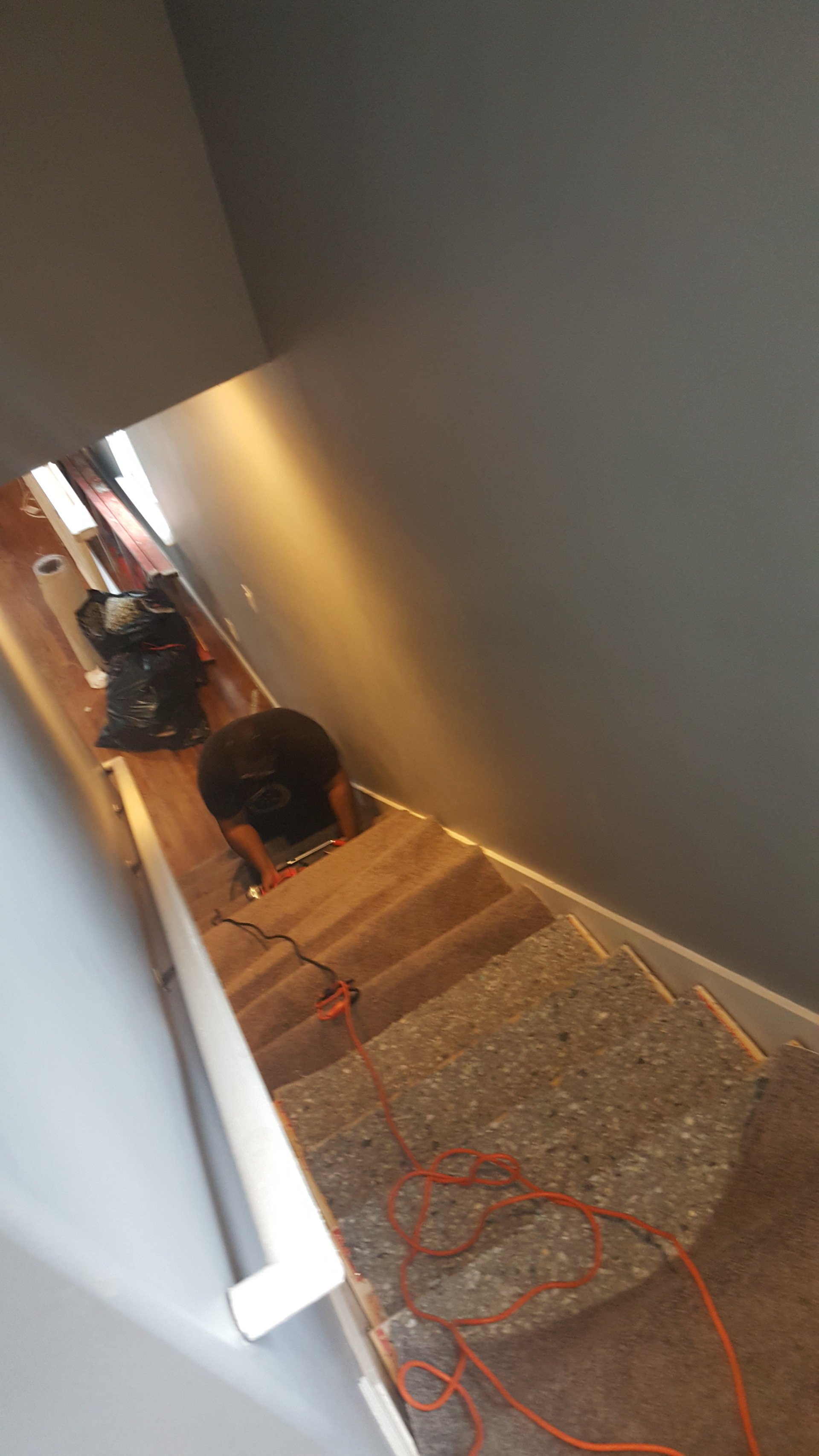 Our Work Quality Queen Carpet Cleaning, Extractions and More