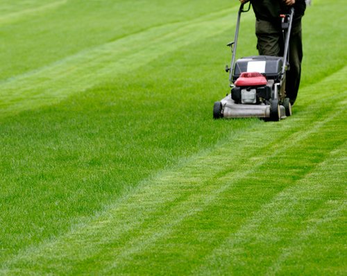 great lawn care names