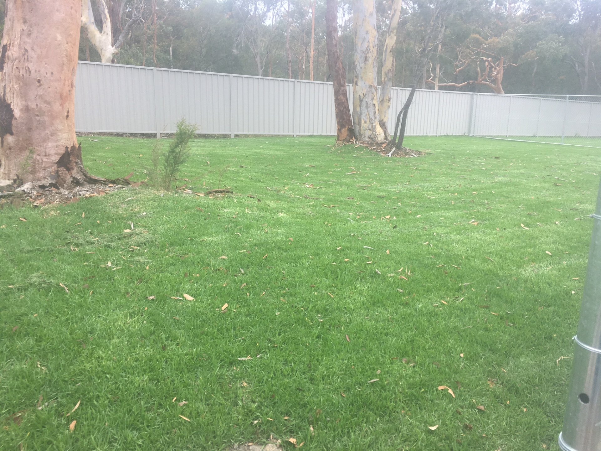 Gallery Hunter Dog Centre