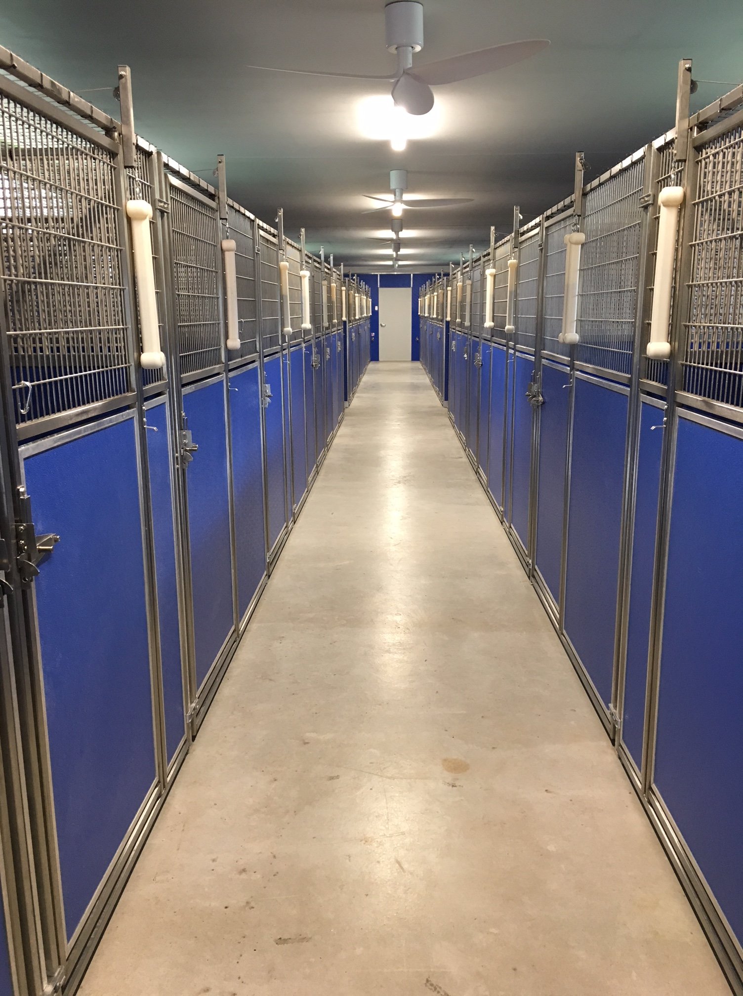Dog Boarding & Daycare in Lake Macquarie, Newcastle Hunter Dog Centre