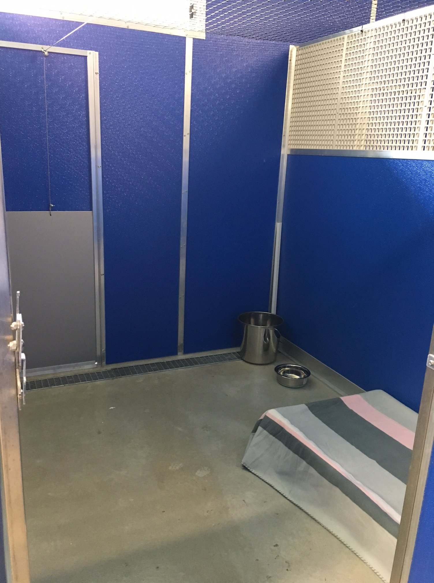 Dog Boarding & Daycare in Lake Macquarie, Newcastle Hunter Dog Centre