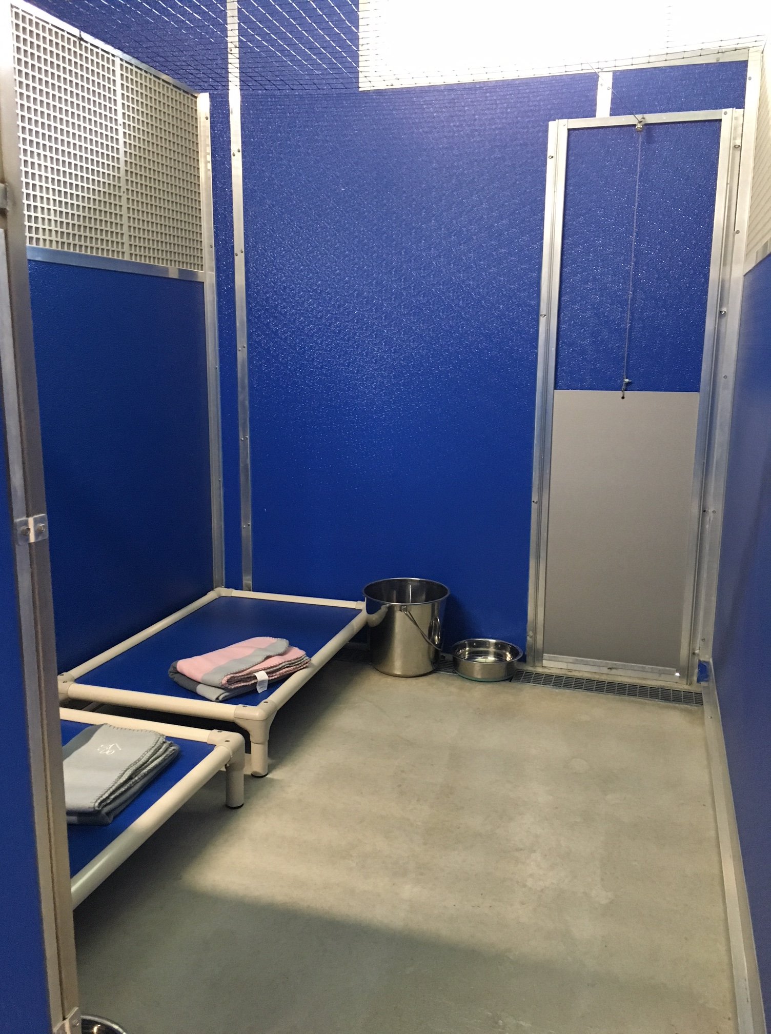 Dog Boarding & Daycare in Lake Macquarie, Newcastle Hunter Dog Centre