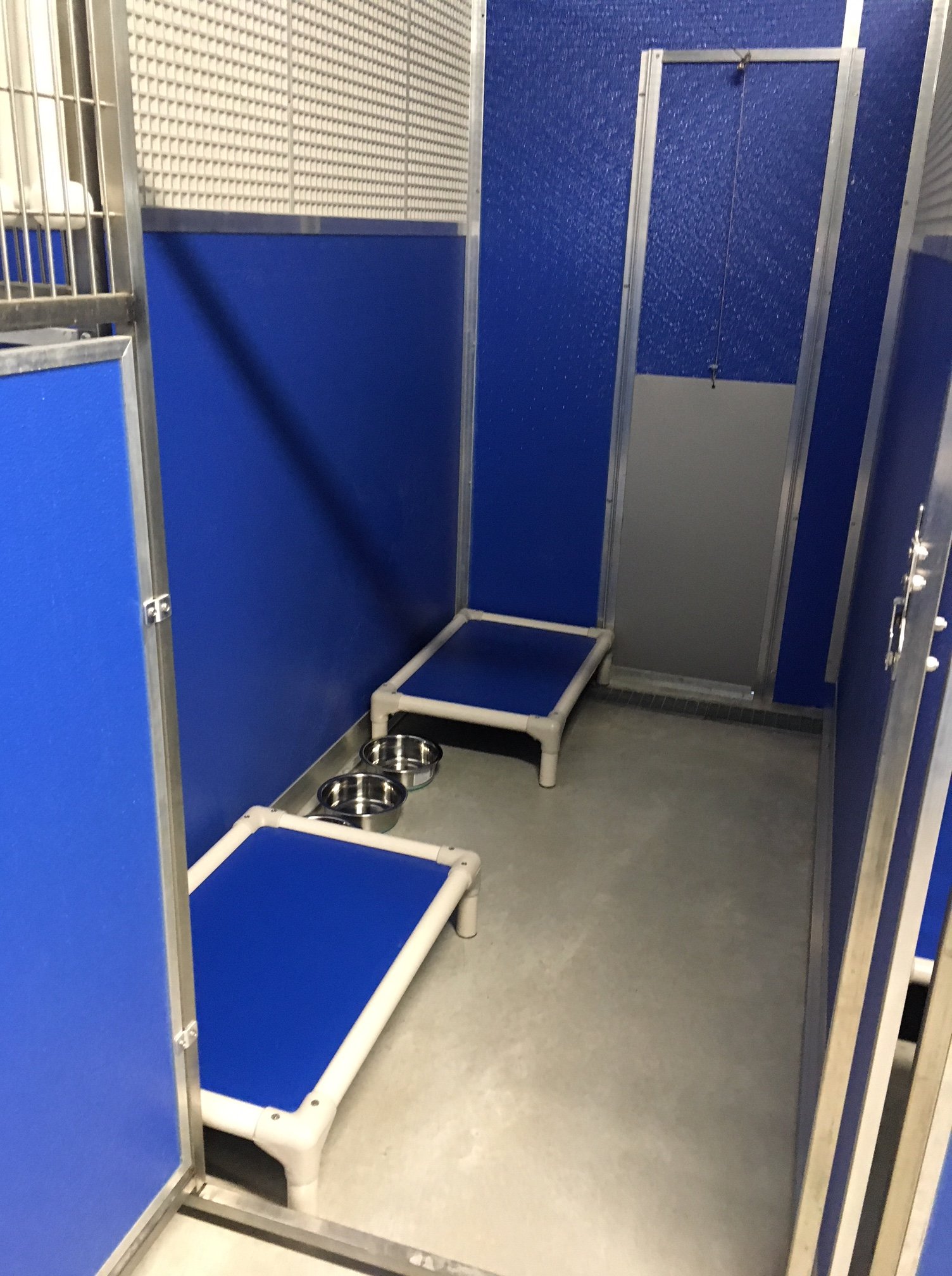 Dog Boarding & Daycare in Lake Macquarie, Newcastle Hunter Dog Centre