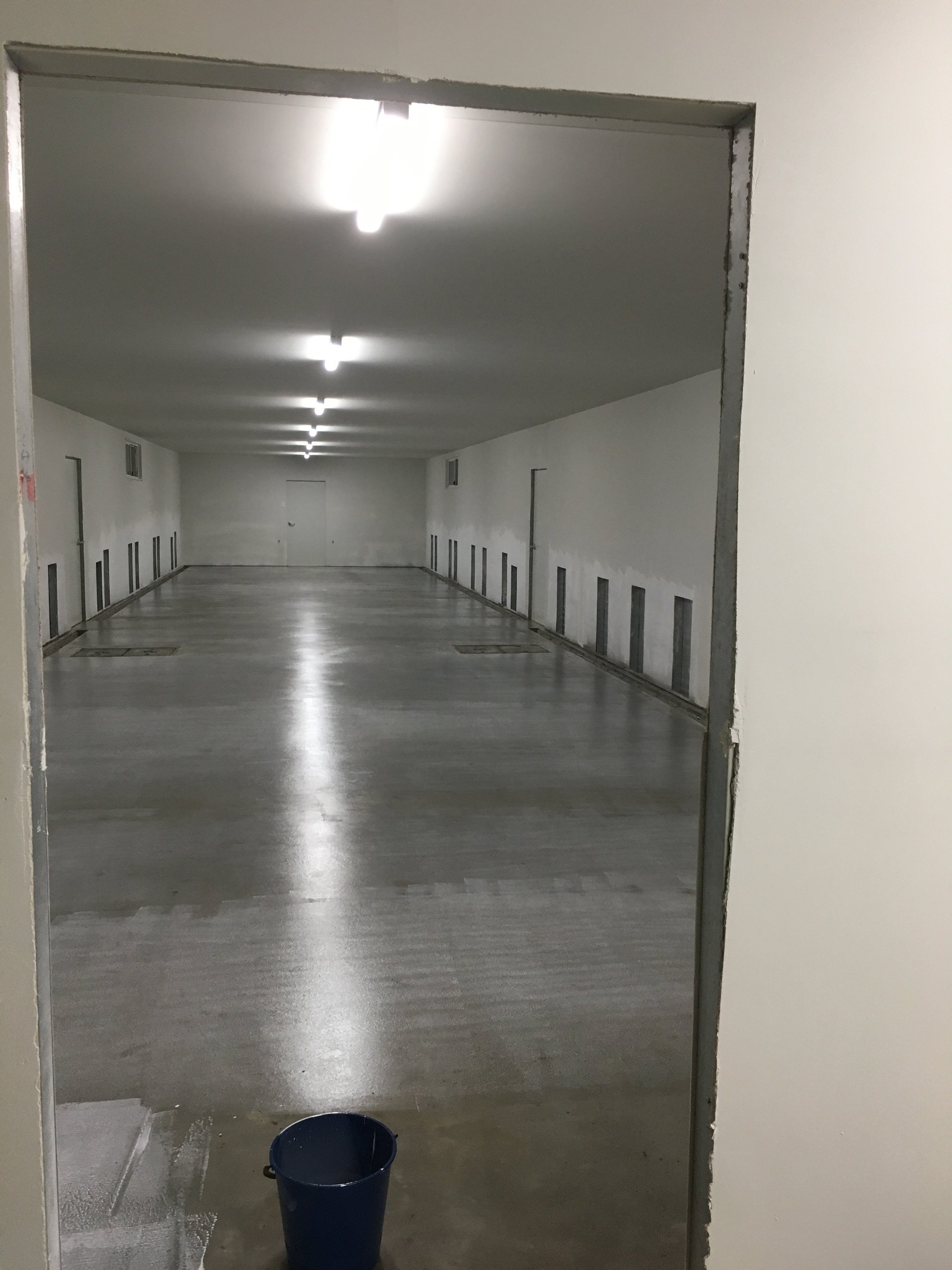 Gallery Hunter Dog Centre