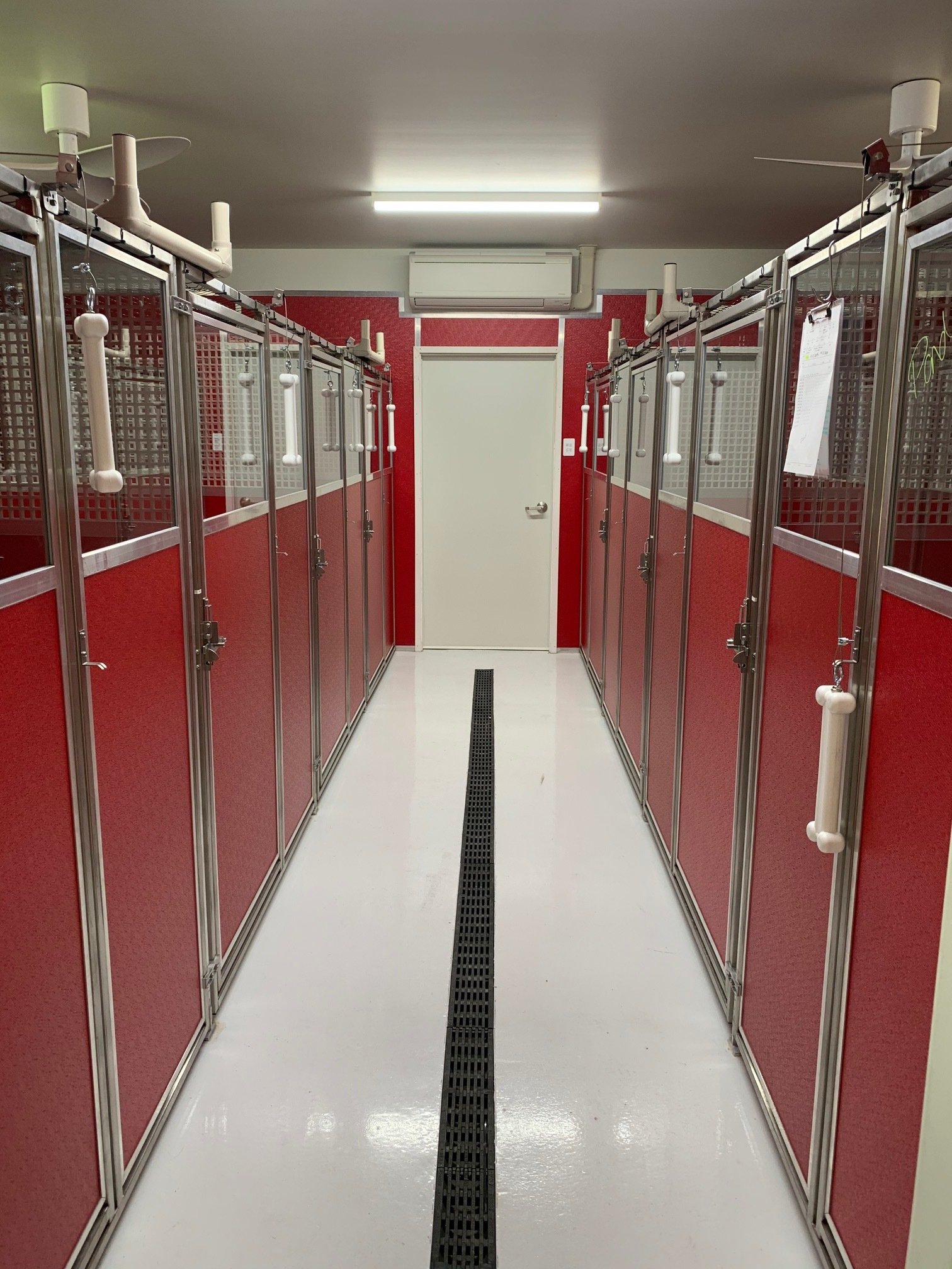 Dog Boarding & Daycare in Lake Macquarie, Newcastle Hunter Dog Centre