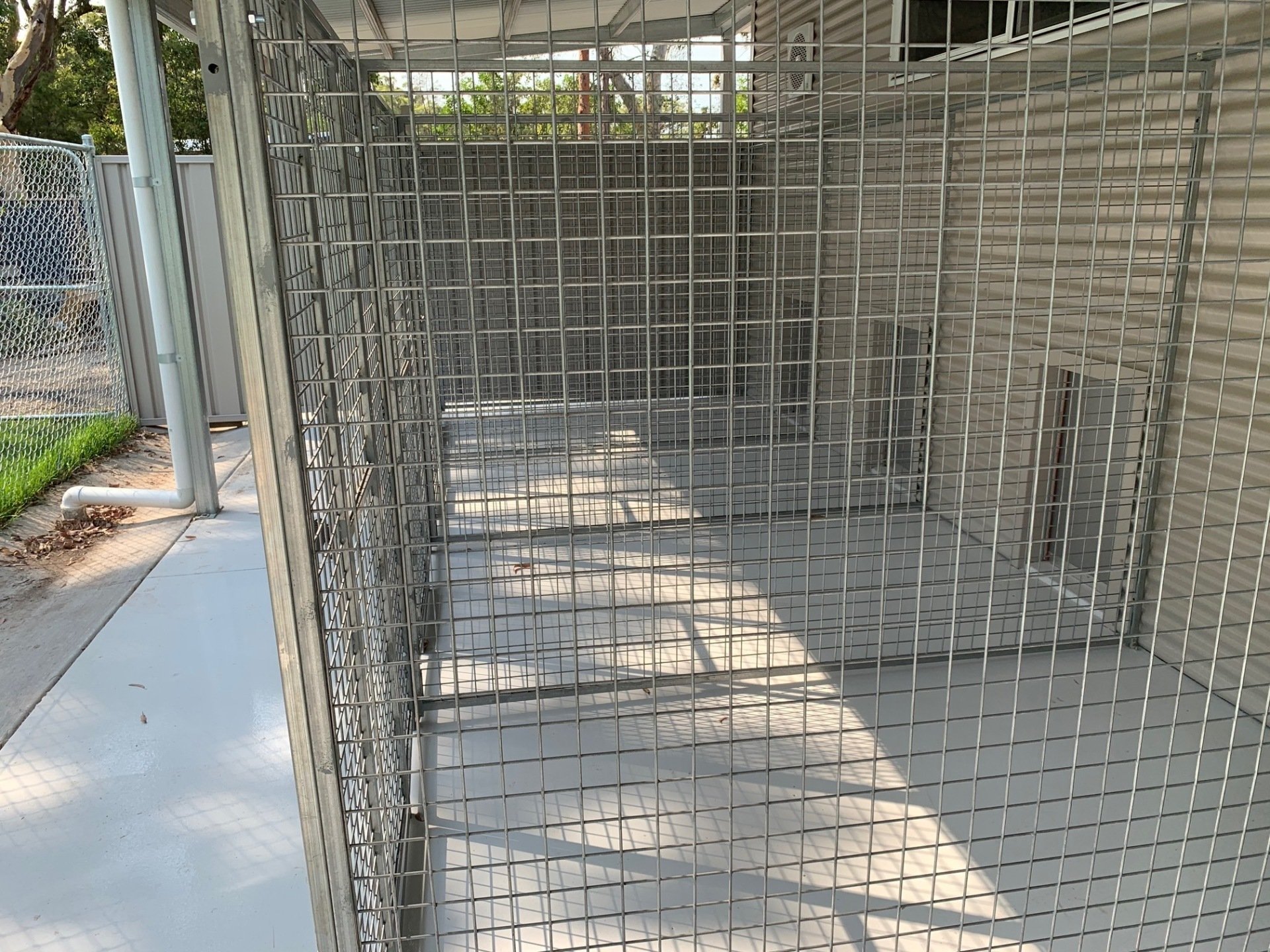 Dog Boarding & Daycare in Lake Macquarie, Newcastle Hunter Dog Centre