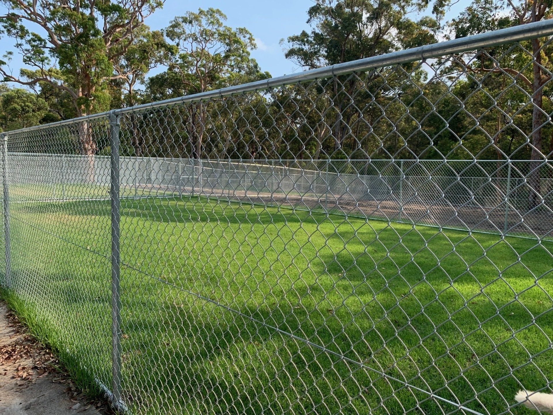 Dog Boarding & Daycare in Lake Macquarie, Newcastle Hunter Dog Centre