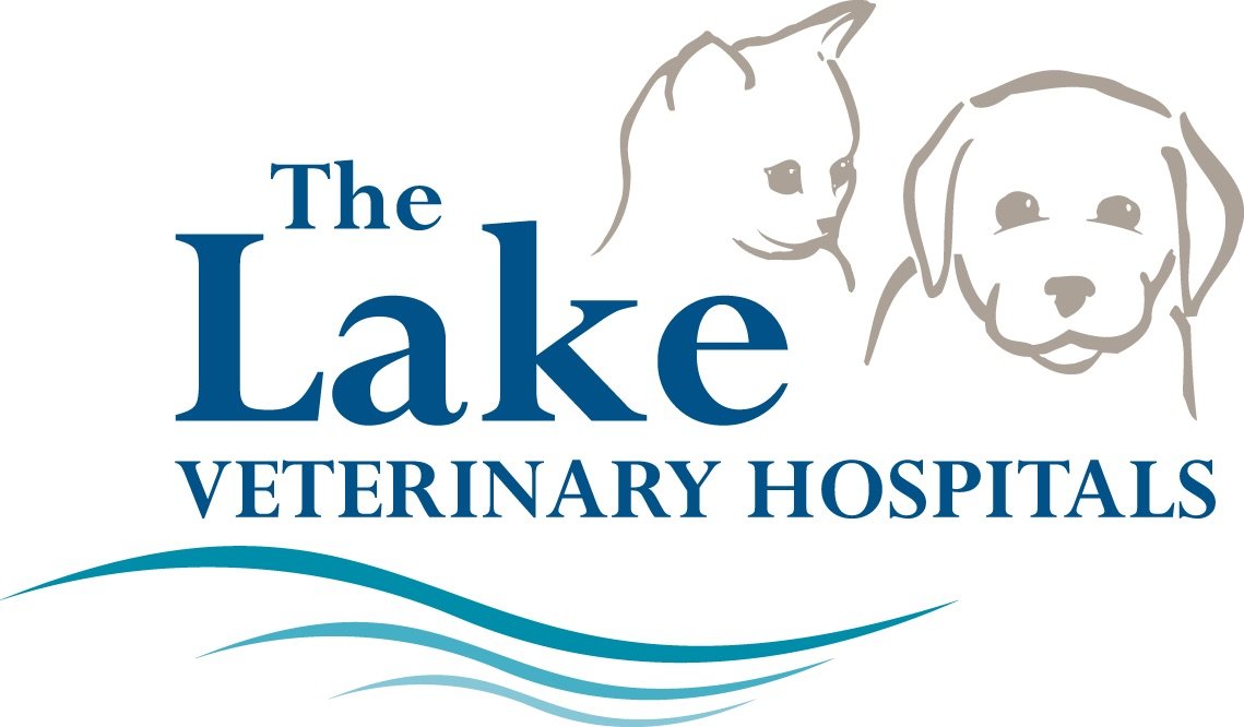 Services Hunter Dog Centre