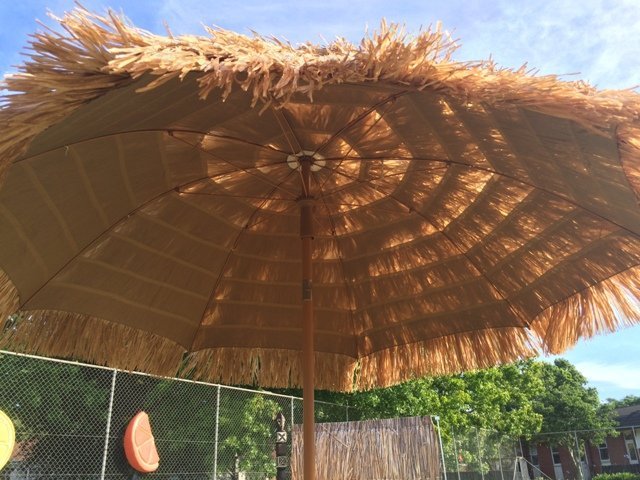 Thatched umbrella