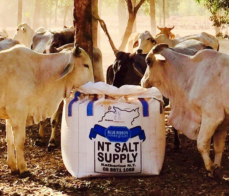 Salt Supply in Katherine Slingshot Haulage