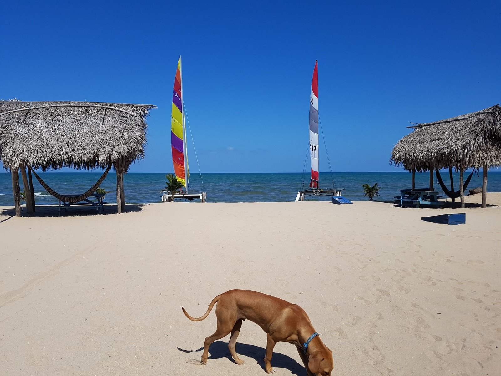 What to do around Hopkins Belize