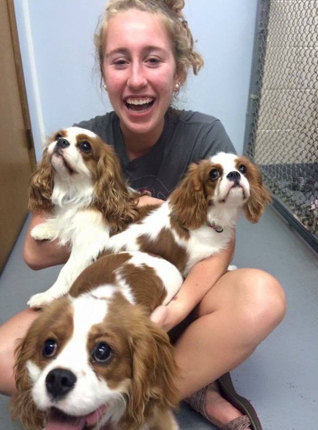 Pet Well/Sick Visits Snellville, GA Brookwood Animal Hospital