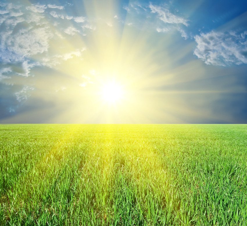 Renewable Electricity Supplier for Businesses, F&S Energy