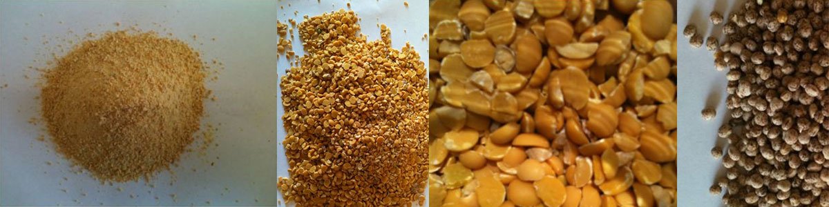 kalgrains multiple cereals