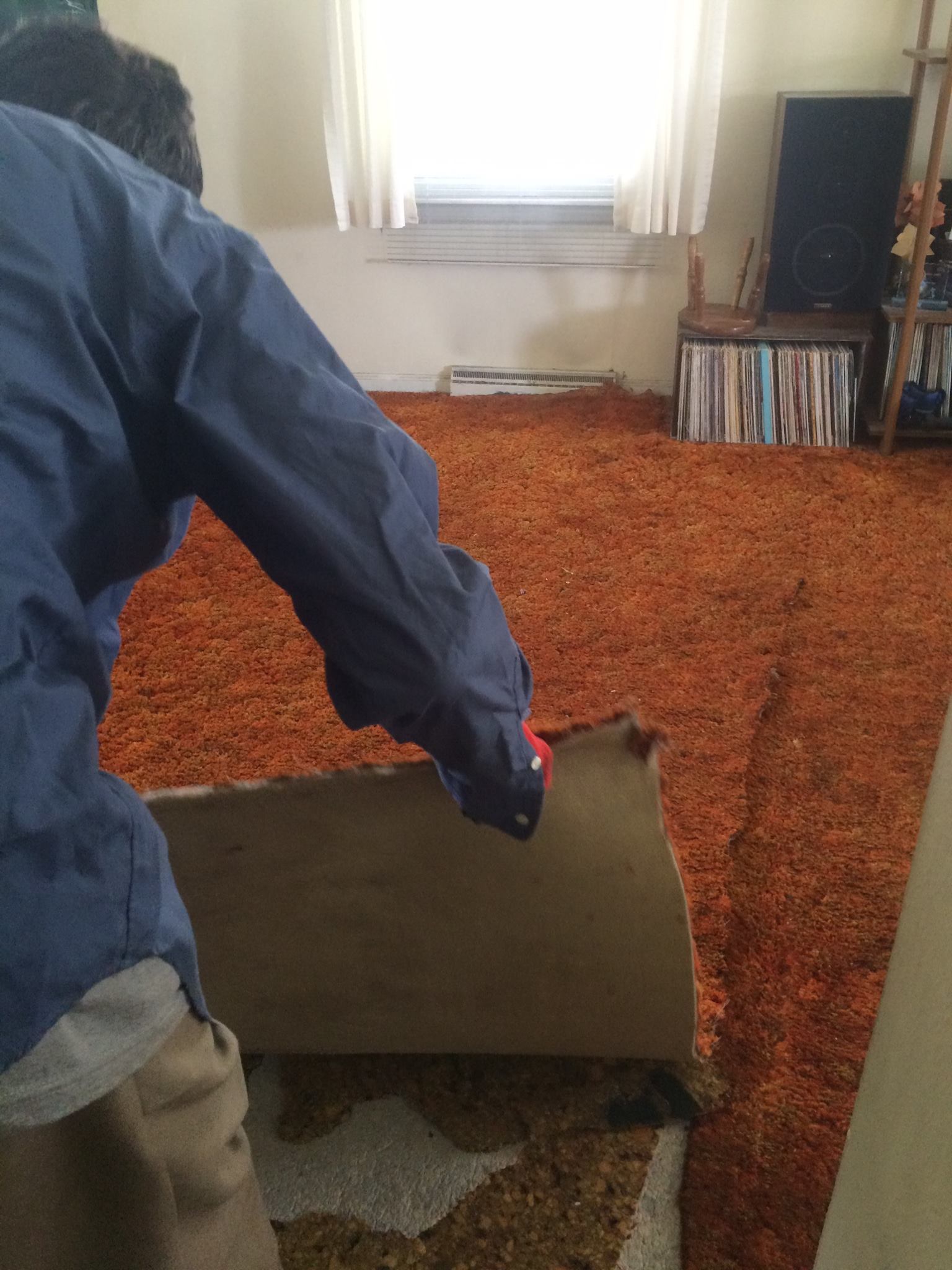 Carpet Installation South Bend, IN Crimmins Carpet Services