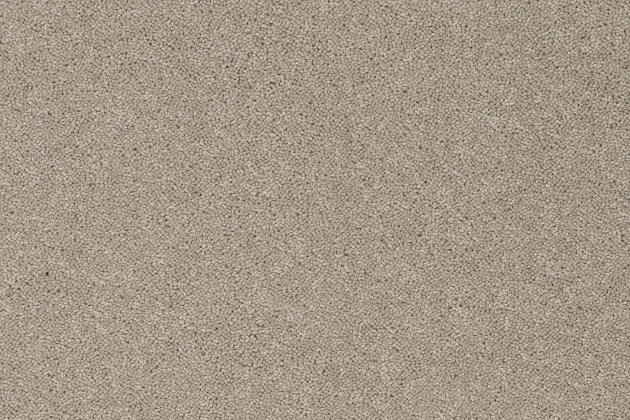 Carpet and Flooring Co. Fleet Home