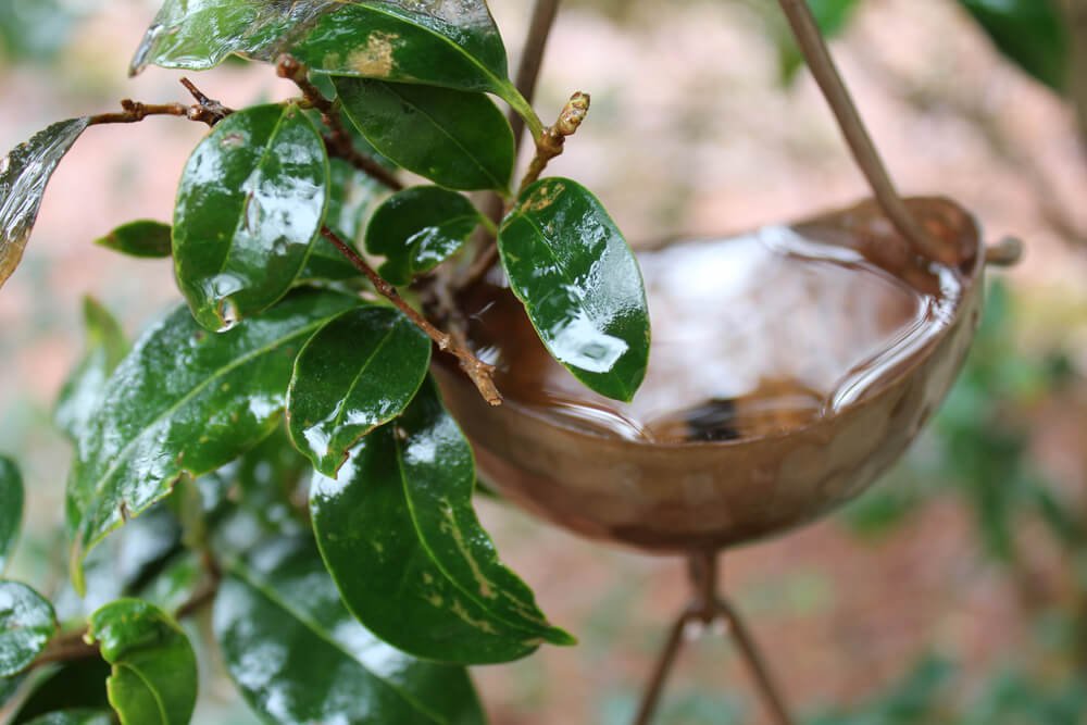 3 rain gutter downspout alternatives that are both functional and aesthetic