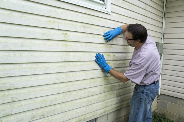 How To Remove Mold From Vinyl Siding